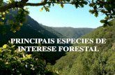 Principais especies de interese forestal