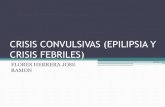 Crisis convulsivas (epilipsia y crisis febriles)