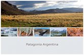 Presentacion De Patagonia Argentina (EspañOl)