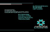 ARDIZ EBN - Perfil Corporativo - Español