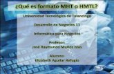 Que es el formato MHT o HMTL