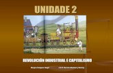 Tema 2 rev industrial