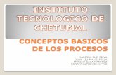 Conceptos basicos de los procesos Tec CTM