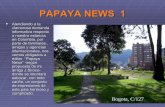 Papaya  News 1