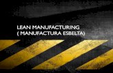 Lean manufacturing (2)
