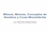 1 mitosis meiosis-monohibrida 2014