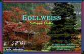14 Edelweiss Pps Li1