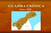 Guajira Exótica, Colombia