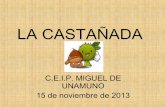 Casta±ada curso 2013-14