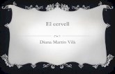 EL CERVELL (DIANA)