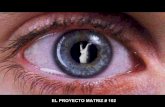 El Proyecto Matriz #102.¿ILEGALES?: EN BUSCA DE LIBERTAD HUMANA