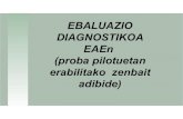 Ebaluazio Diagnostikoa Blogean7