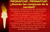 Eduardo LeóN   Opinion Sobre Pronafcap   Peru