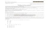 PDV: Matemática Guía N°8-A [4°Medio] (2012)