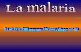 La malaria lucas alberte-1ºb