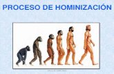 Proceso de hominización. Alicia Arrabal Haro