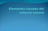 Elementos visuales del entorno natural
