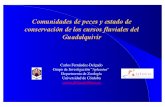 Comunidades de peces y conservación Guadalquivir