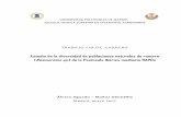 TRABAJO FIN DE CARRERA «Estudio de la diversidad de poblaciones de romero (Rosmarinus sp.) de la Península Ibérica mediante RAPDs»
