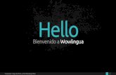 Wowlingua (Curso de inglés online para Gobiernos e Instituciones públicas)