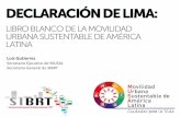 Declaración de Lima: Libro Blanco de la Movilidad Urbana Sustentable de América Latina - Luis Gutiérrez