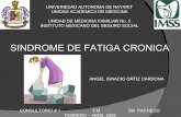 Sindrome De Fatiga Cronica