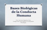 Bases Biológicas de la Conducta Humana