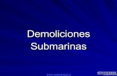Demoliciones Submarinas Comerciales Ds