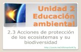 2 3 acciones de protección de los ecosistemas y su biodiversidad