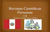Revistas científicas peruanas   cristina torres