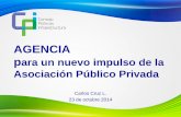 Carlos Cruz: Agencia para un nuevo impulso de la asociación público privada