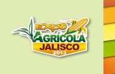 Expo Agrícola Jalisco 2013