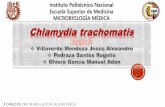 Chlamydia trachomatis_ESM_IPN