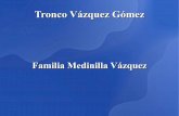 6.  familia medinilla vázquez (rev.1)