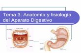 Presentacion del aparato digestivo