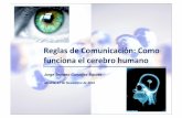 Reglas de comunicación: Como funciona el cerebro humano