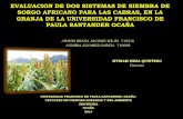 Evaluar dos Sistemas de Siembra de Sorgo Africano para la Alimentación de Cabras, en la Granja de la Universidad Francisco de Paula Santander Ocaña