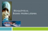 Bases Moleculares  de la Bioquímica   2015