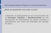 Clase biocenosis urbana