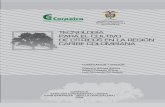 Tecnología para el cultivo de los cítricos en la región caribe colombiana ica