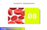 U8. Metabolismo