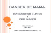 Cancer de mama imagenolog­a