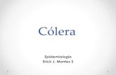 Epidemiología cólera