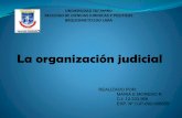 La organización judicial