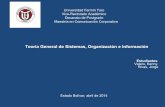 Informe teoría general de sistemas, organización e información 07 04-2014