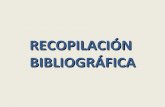 Recopilación Bibliografica