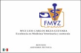 Calendario Vacunaci³N Nuevo