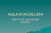 Presentacio AA Institut Salvador Espriu