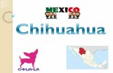 México. Chihuahua