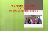 Proyecto ambiental sede D Oriente Miraflores
